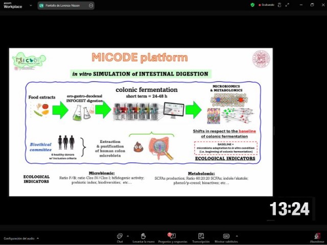 InProSus participa del congreso virtual "6th International Electronic Conference on Foods"
