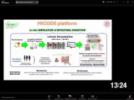 InProSus participa del congreso virtual "6th International Electronic Conference on Foods"